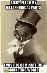 fancy dog