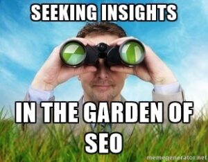 SEO Insights