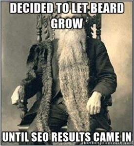 SEO Results