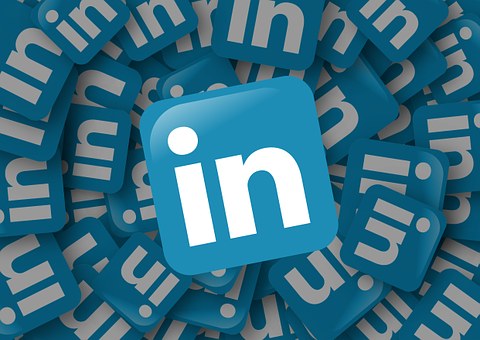 The LinkedIn Follower Statistics Section