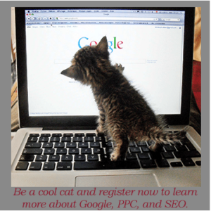 CoolCat